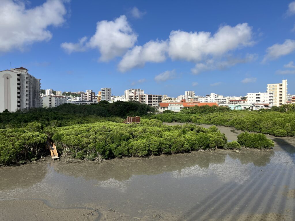 漫湖水鳥・湿地センター