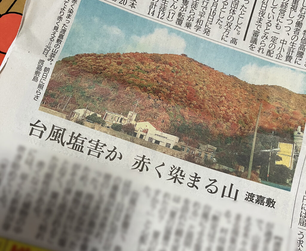 塩害で赤くなった山