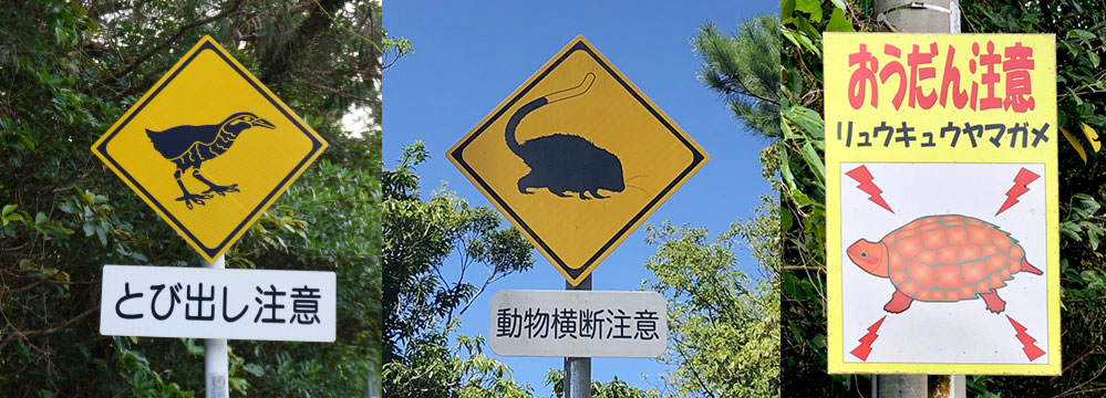 沖縄の動物飛び出し注意標識