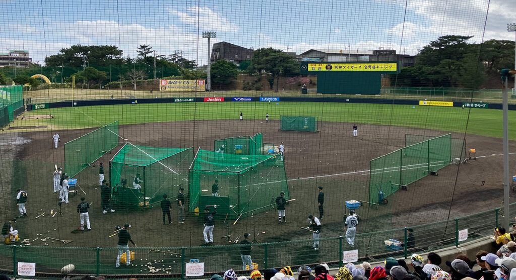阪神キャンプ