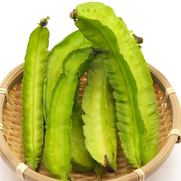 四角豆