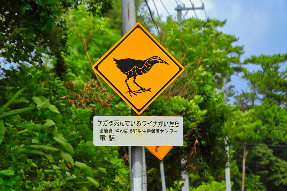 ヤンバルクイナ標識