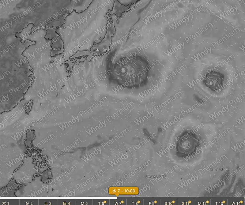 windy7日予想