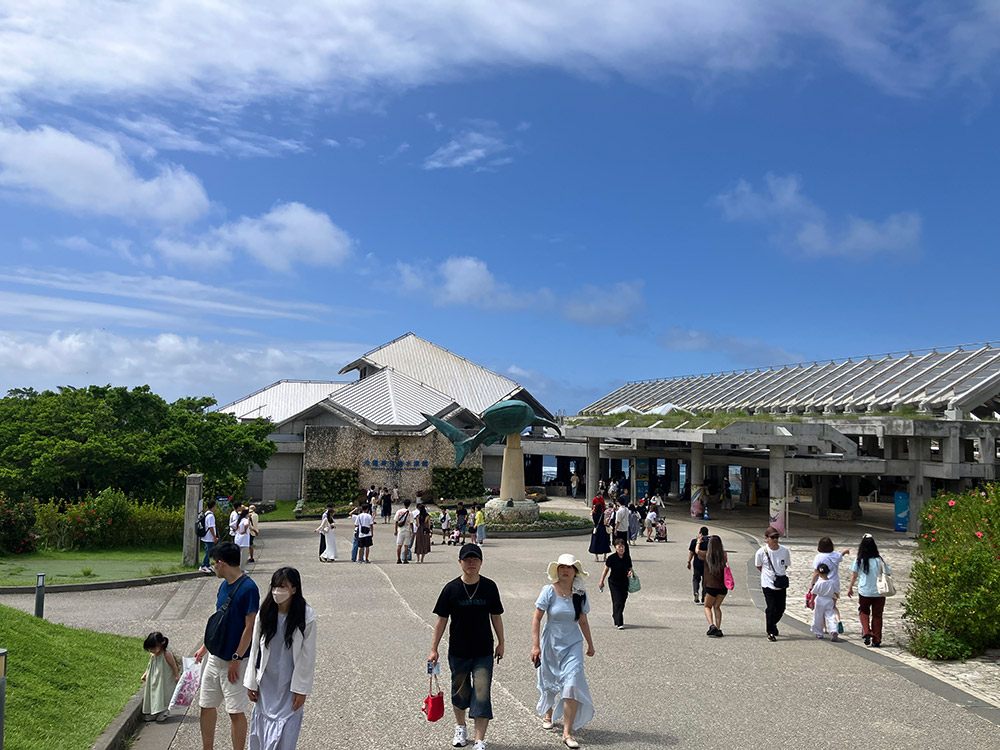 美ら海水族館