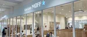 猫カフェMOFF