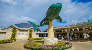 美ら海水族館