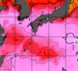 海水温